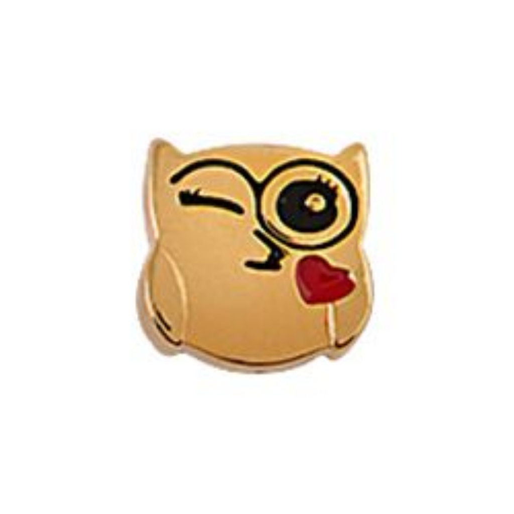 5 For 15 Wink Owl Heart Charm Origami Owl 15$